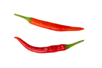 hot peppers isolated