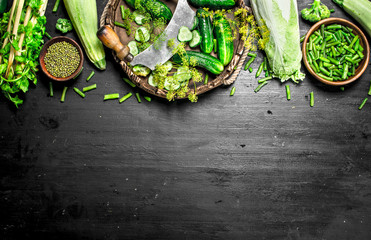 Organic food. Fresh cucumbers with herbs.