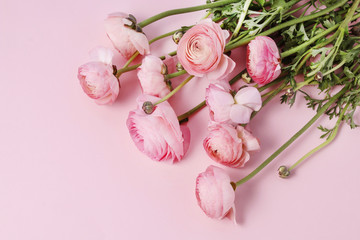 Pink ranunculus flowers.