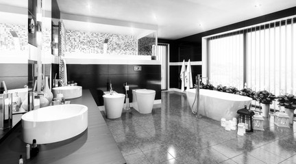 Luxurious Bathroom Furnishing (black & white)