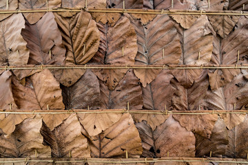 Dry leaves roof