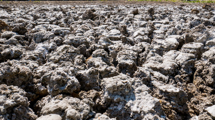 Barren ground after the farm.