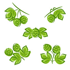 Hop set. Vector