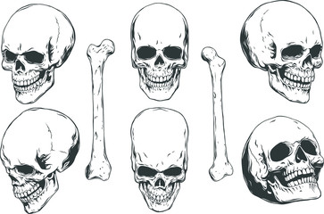 Hand drawn realistic human skulls and bones from different angles. Monochrome vector illustration on white background. 