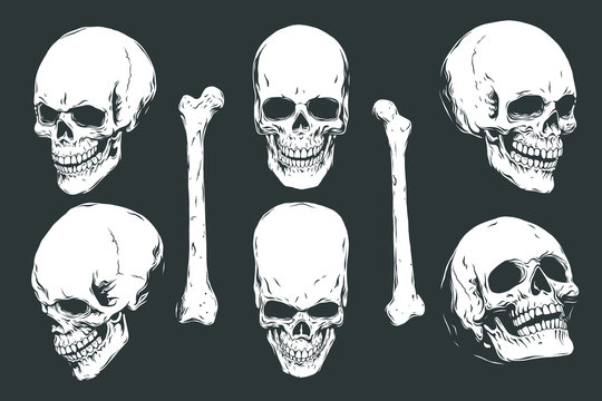 Hand drawn realistic human skulls and bones from different angles. Monochrome vector illustration on black background. 