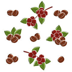 Coffee beans set. Vector