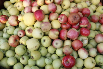 different apple