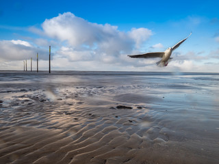 Wattenmeer an der Nordseeküste