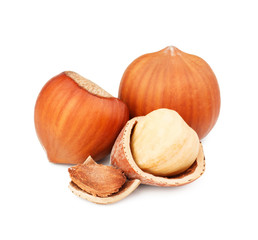 Hazelnut isolated on white background as package design elements.