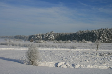 Obraz premium Winter auf der Schwäbischen Alb