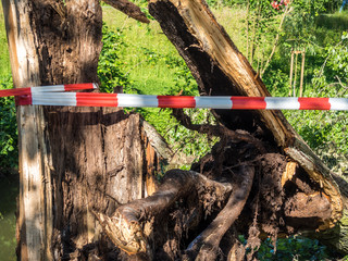 Unwetter Sturmschaden Baum