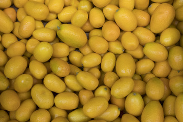 A lot of beautiful orange citrus fruit kumquat.