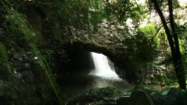 panning shot of natural bridge and the rain forest creek in springbrook national park