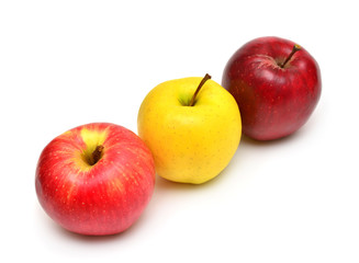 Apples beautiful red and yellow varieties Champion and Golden Delicious isolated on white background