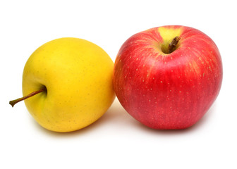Apples beautiful red and yellow varieties Champion and Golden Delicious isolated on white background
