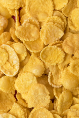 close-up full frame background from healthy crispy corn flakes