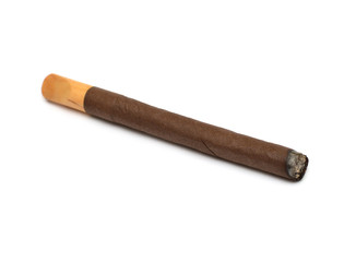 Cigar with mouthpiece isolated on white background. Flat lay, top view