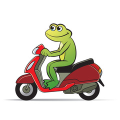 happy frog vector cartoon or mascot riding red color scooter