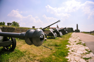 Fototapeta na wymiar WWI cannon