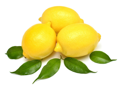 Lemons beautiful whole with leaves isolated on white background. Vitamin C. Tropical useful fruit. Flat lay, top view