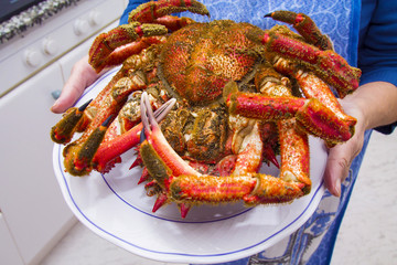 hands holding plate with seafood, crab or giant spider crab