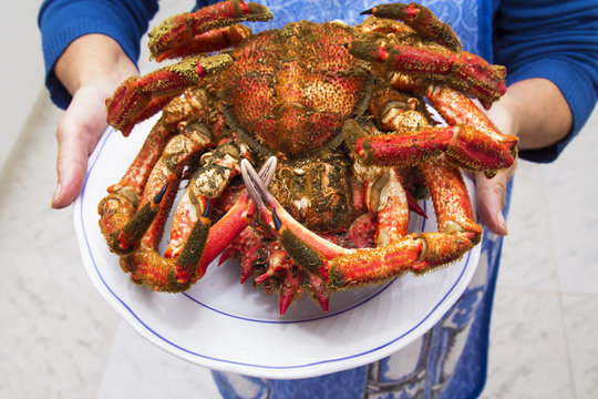 hands holding dish with seafood, crab