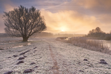 Fototapeta na wymiar Sunrise over a frozen landscape in The Netherlands