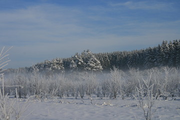 Winter