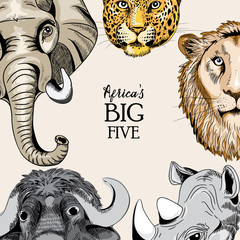 Collection of animals from Africa's big five. Vector illustration on light light brown background