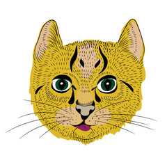 Vector illustration of little cat with long whiskers