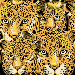 Leopard seamless pattern. Vector illustration on black background