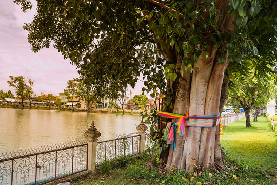 Ligate Billeder – Gennemse 806 stockfotos, vektorer og videoer | Adobe ...