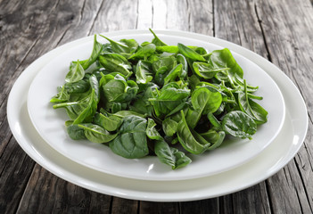 spinach leaves on a white plates, close-up