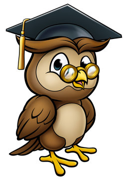 Wise Owl Graduate Teacher Character