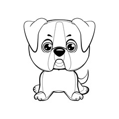 american bulldog puppy.