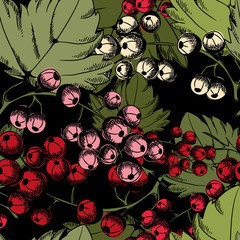 Red and white currant seamless pattern. Vector illustration on black background