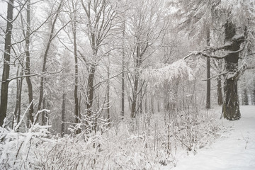 Snowy countryside, Roudno, Roudny, Czech Republic