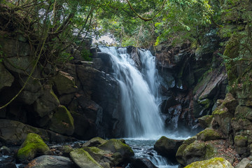 Fototapeta premium 男滝