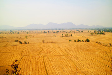 Obraz na płótnie Canvas view aerial view field in Thailand