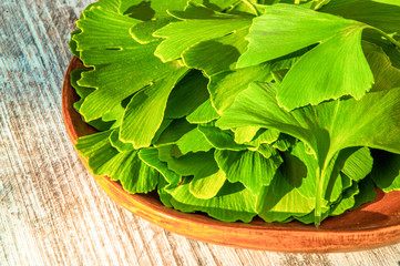 Collected medicinal leaves of the Ginkgo biloba tree in a bowl on the table wooden