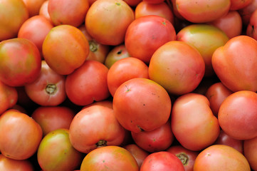 fresh tomatoes selling at vegetable market