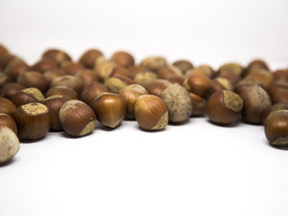 A lot of brown, dried hazel nuts on white background with shallow depth of field