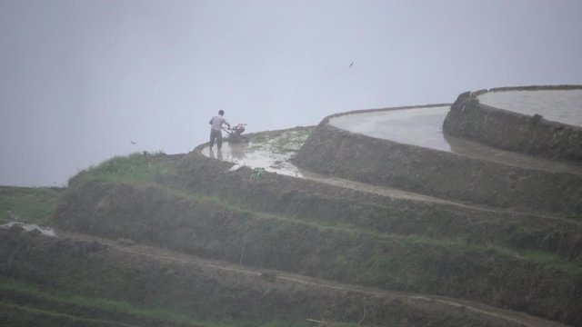 Zhuang rice farmer using machinery