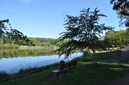 Wood Bench Overlooking a Lake