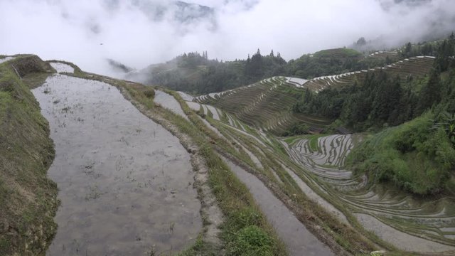Valley of rice farming Ping an China
