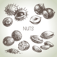 Hand drawn sketch nuts set. Vector illustration of eco food