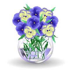 Viola flowers (pansy, viola tricolor). Hand drawn vector illustraion of blue and yellow viola flowers in glass vase on white background.