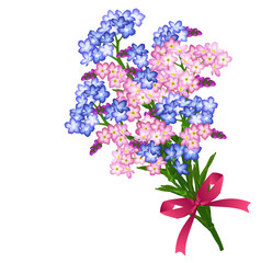 Bunch of blue and pink forget-me-not spring flowers with red bow.  Hand drawn vector illustration on white background.
