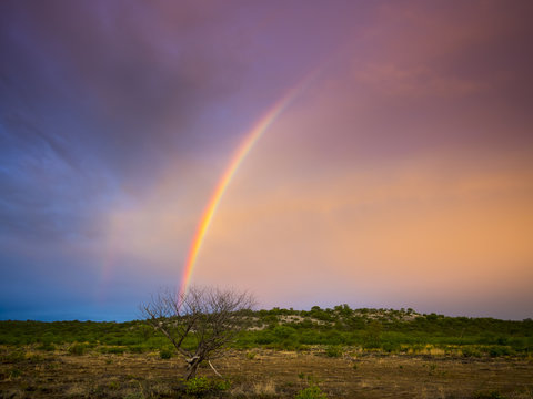 Namibia, Outjo, rainbow in Ongava Wild Reservat