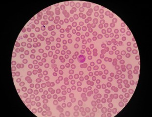 red blood cells medical science background.